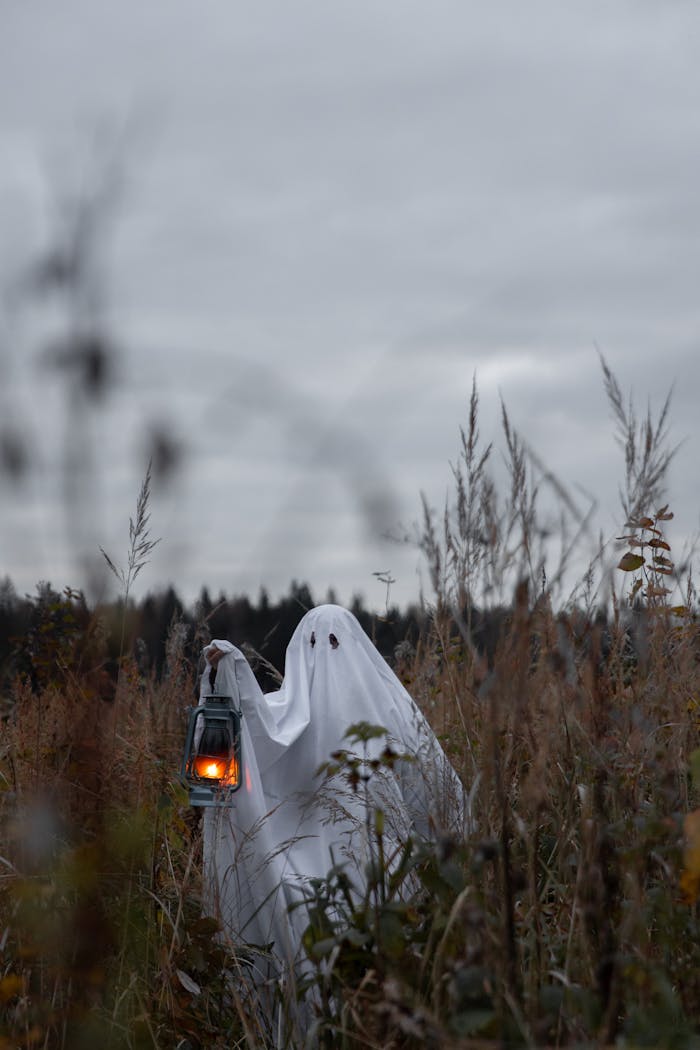 Eerie ghostly figure holding a lantern in a misty field, perfect for Halloween themes.