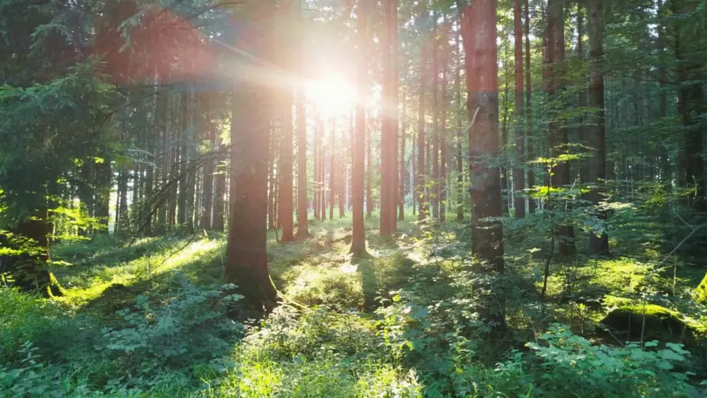 Gebete die wirken aus dem Allgäu