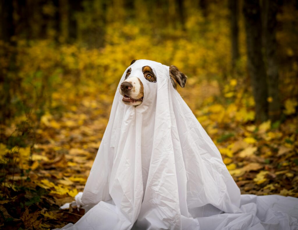 A playful dog in a ghost costume sits among colorful autumn leaves in a forest setting.